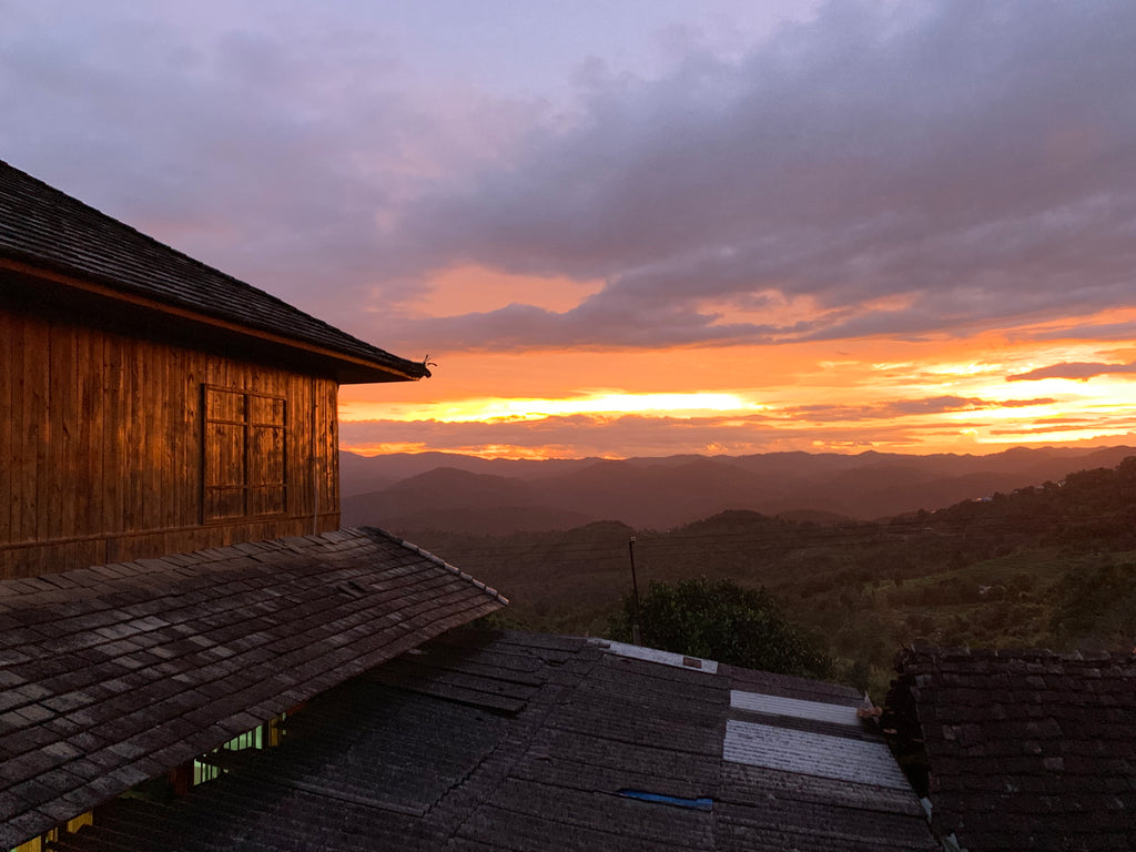 Yunnan, and World's oldest tea trees.